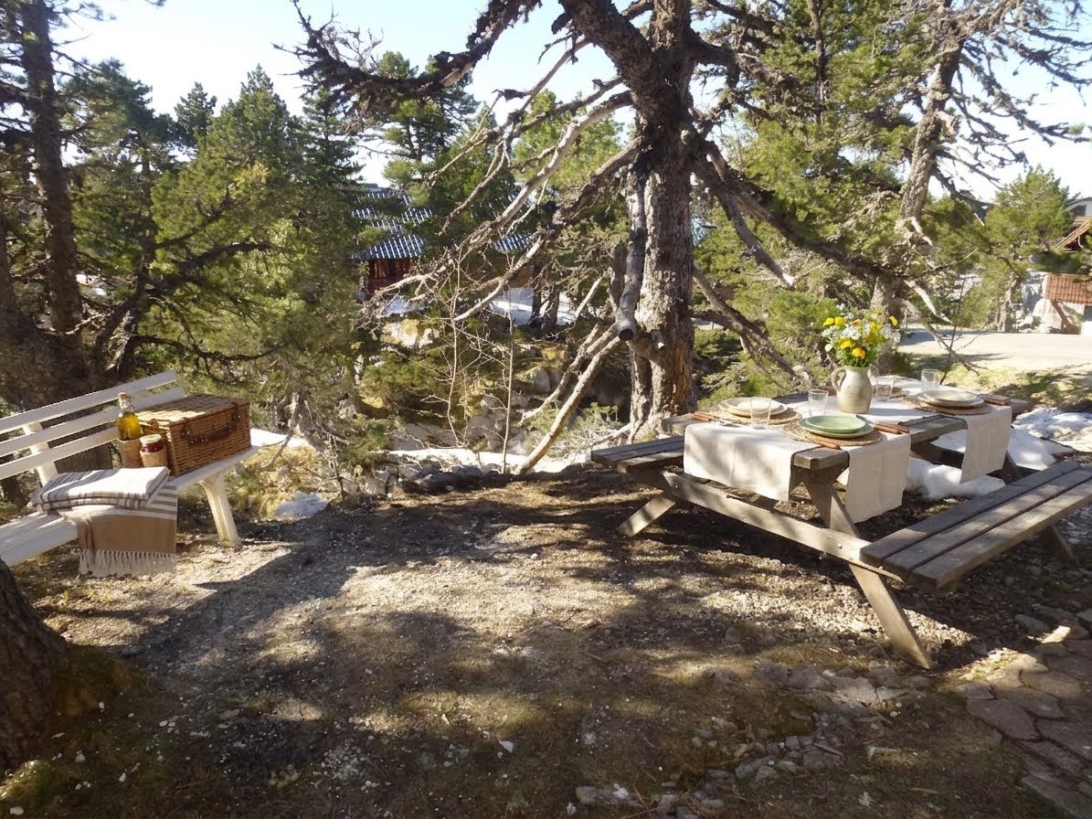 La Petite Étoile des Neiges à La Pierre-Saint-Martin — photo 4